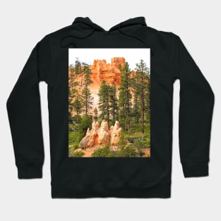 View from a Bryce Canyon Trail Hoodie